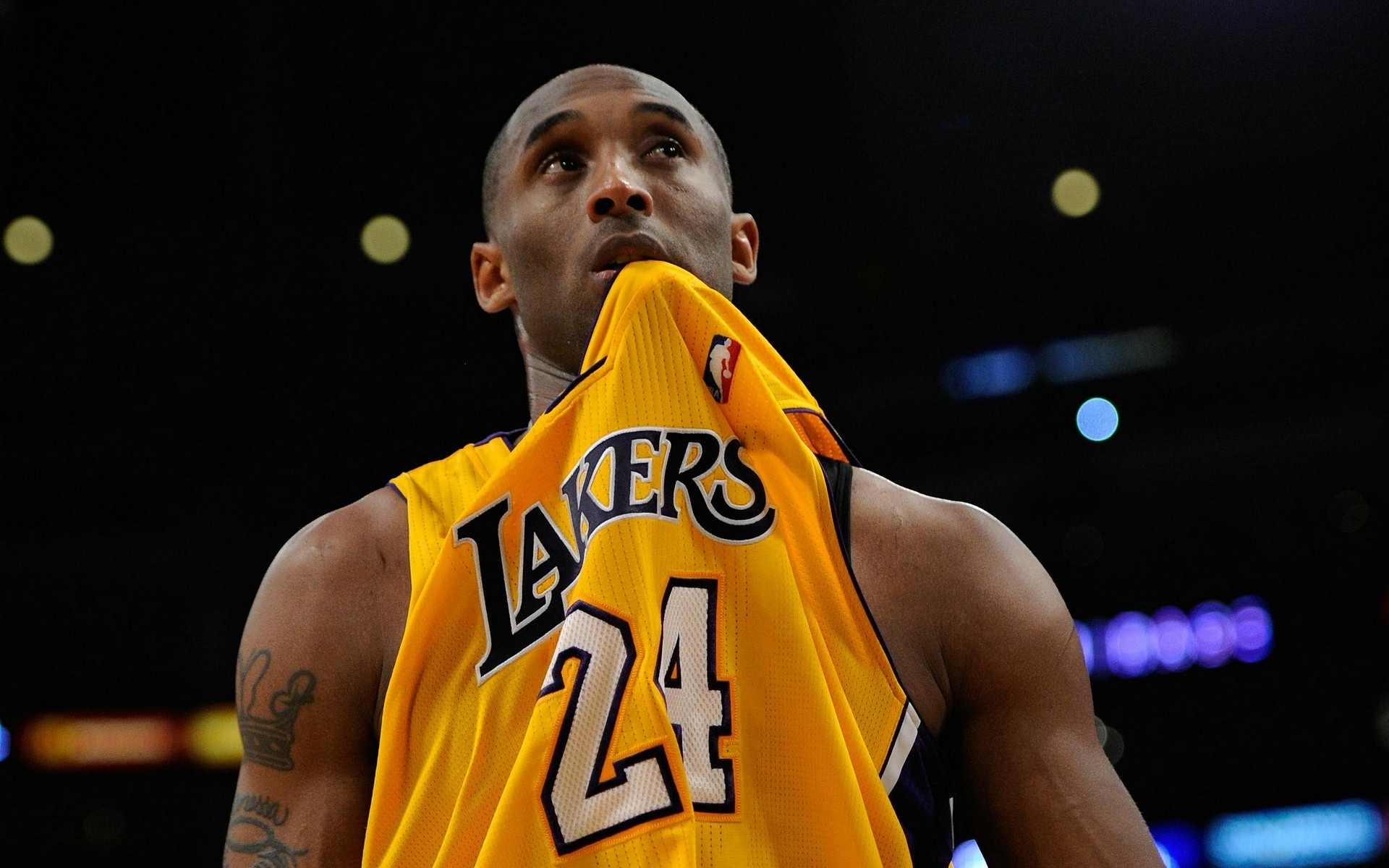 体育文化素 体育文化素