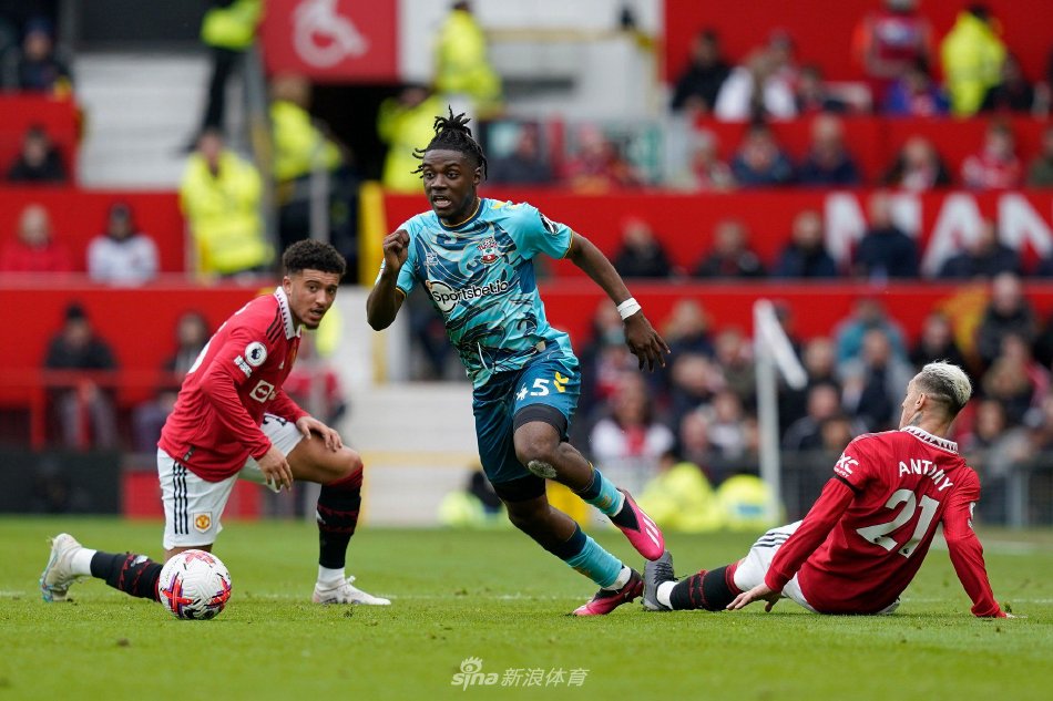 增添了浓烈 增添了浓烈